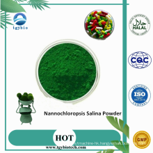 Organic Nannochloropsis Powder Nannochloropsis Salina Powder